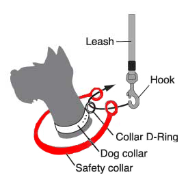 flexi lead safety loop