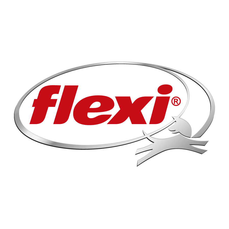 ¿Quién es Flexi?