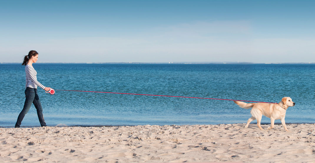 리시가 선사하는 자유로움
